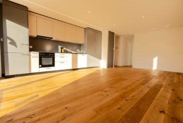 Appartement 3,5 pièces neuf avec grande terrasse