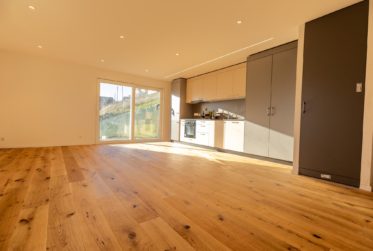 Appartement 3,5 pièces neuf avec grande terrasse